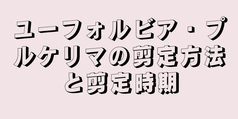 ユーフォルビア・プルケリマの剪定方法と剪定時期