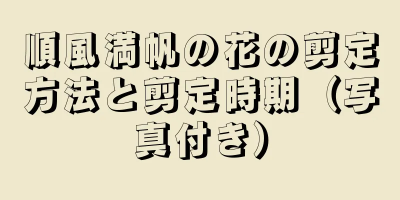 順風満帆の花の剪定方法と剪定時期（写真付き）