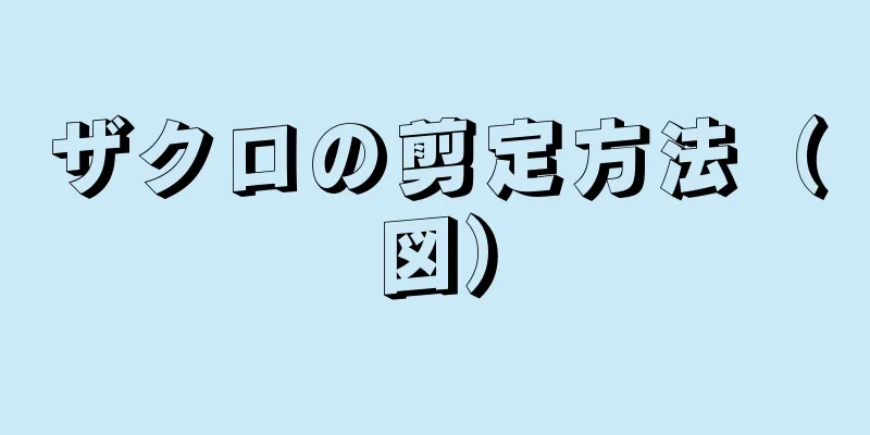 ザクロの剪定方法（図）