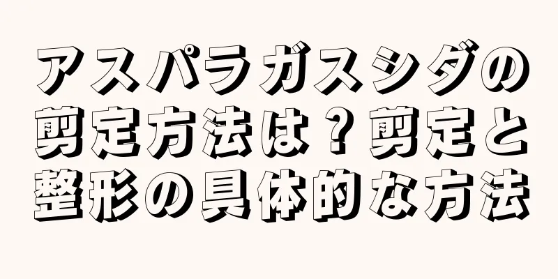 アスパラガスシダの剪定方法は？剪定と整形の具体的な方法