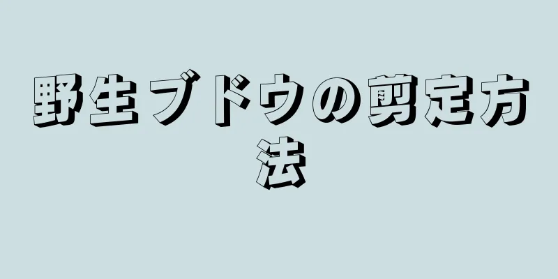 野生ブドウの剪定方法