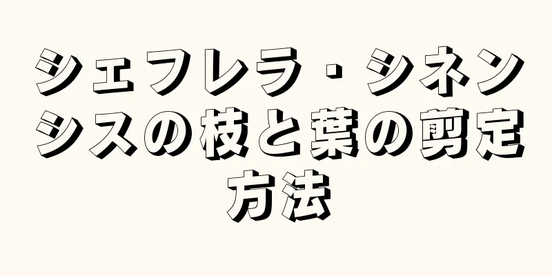 シェフレラ・シネンシスの枝と葉の剪定方法