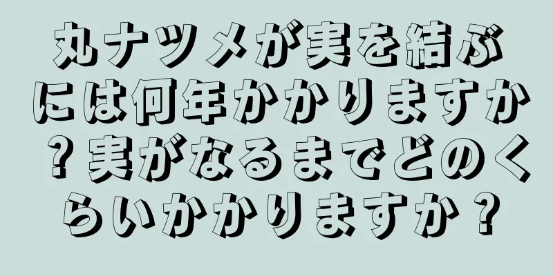 丸ナツメが実を結ぶには何年かかりますか？実がなるまでどのくらいかかりますか？