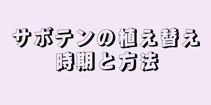 サボテンの植え替え時期と方法