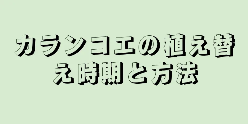 カランコエの植え替え時期と方法