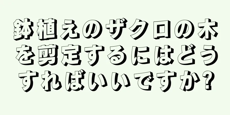 鉢植えのザクロの木を剪定するにはどうすればいいですか?