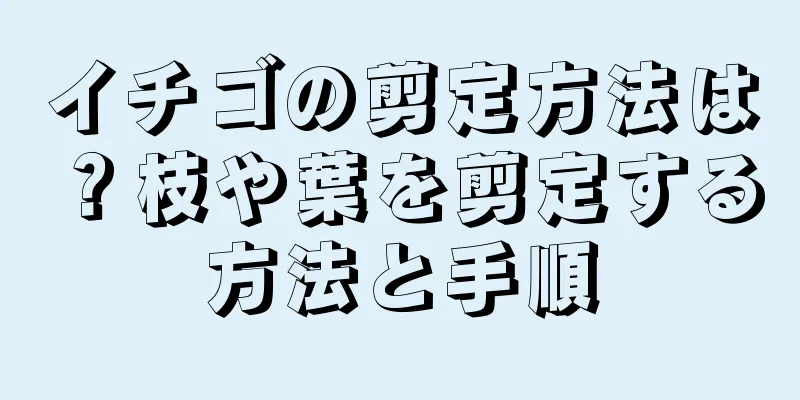 イチゴの剪定方法は？枝や葉を剪定する方法と手順