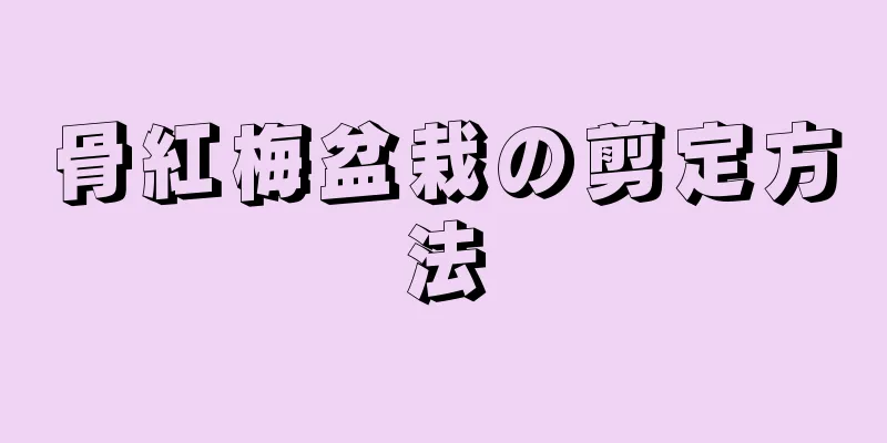 骨紅梅盆栽の剪定方法