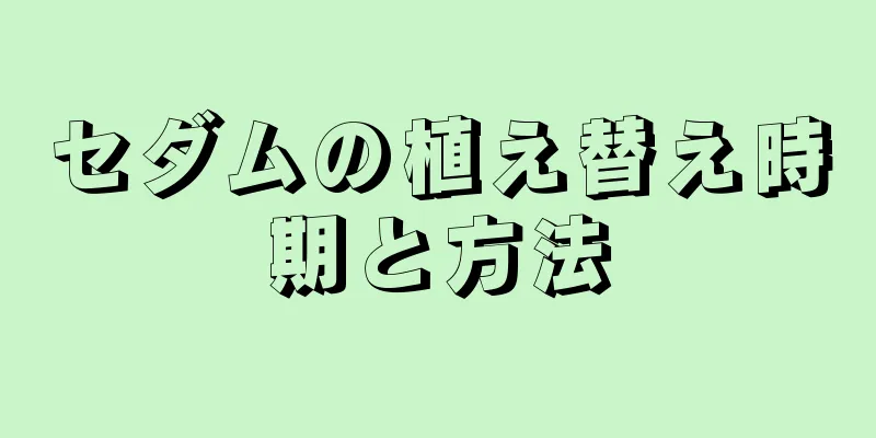 セダムの植え替え時期と方法