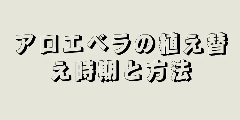 アロエベラの植え替え時期と方法