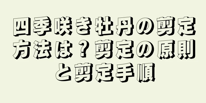 四季咲き牡丹の剪定方法は？剪定の原則と剪定手順