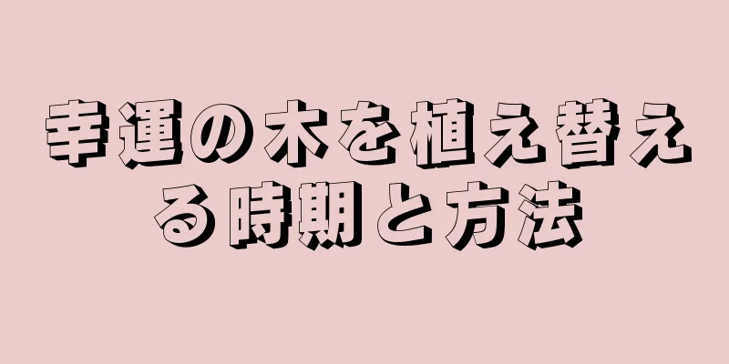 幸運の木を植え替える時期と方法