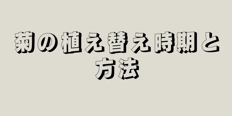 菊の植え替え時期と方法