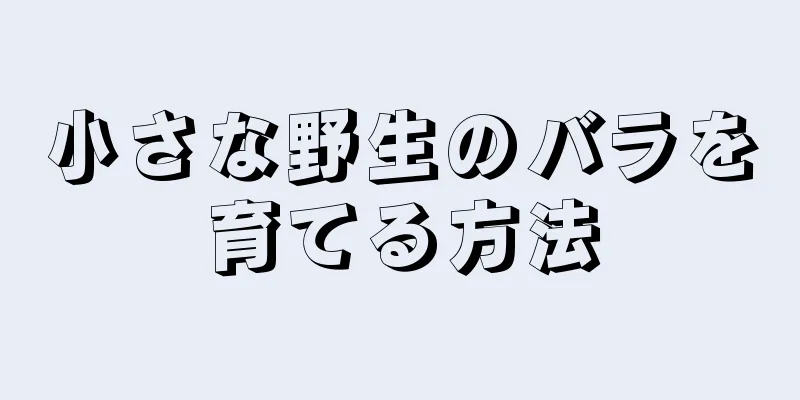 小さな野生のバラを育てる方法