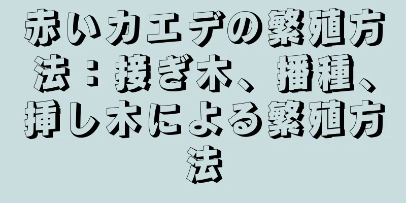 赤いカエデの繁殖方法：接ぎ木、播種、挿し木による繁殖方法