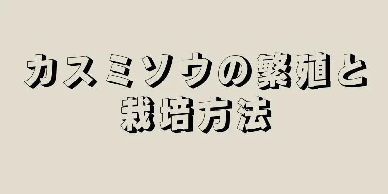 カスミソウの繁殖と栽培方法