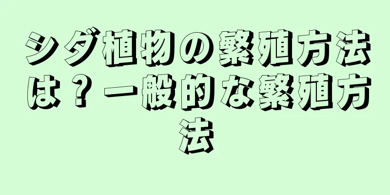 シダ植物の繁殖方法は？一般的な繁殖方法
