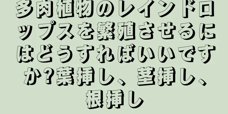 多肉植物のレインドロップスを繁殖させるにはどうすればいいですか?葉挿し、茎挿し、根挿し