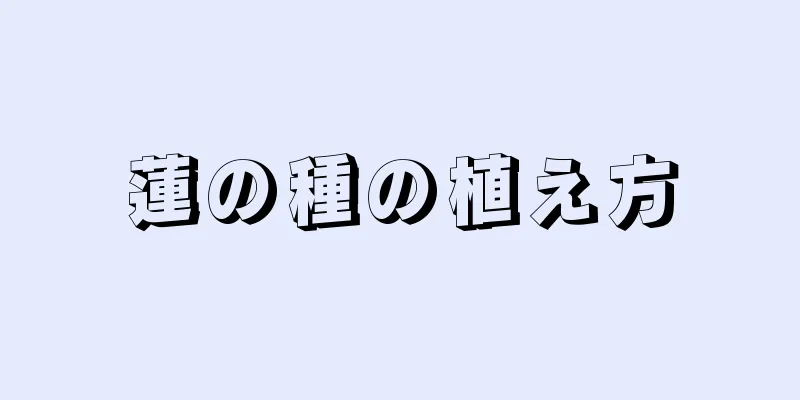 蓮の種の植え方