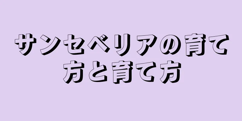 サンセベリアの育て方と育て方