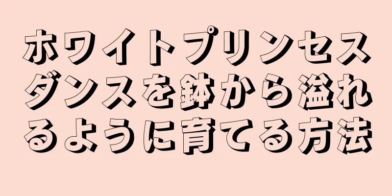 ホワイトプリンセスダンスを鉢から溢れるように育てる方法