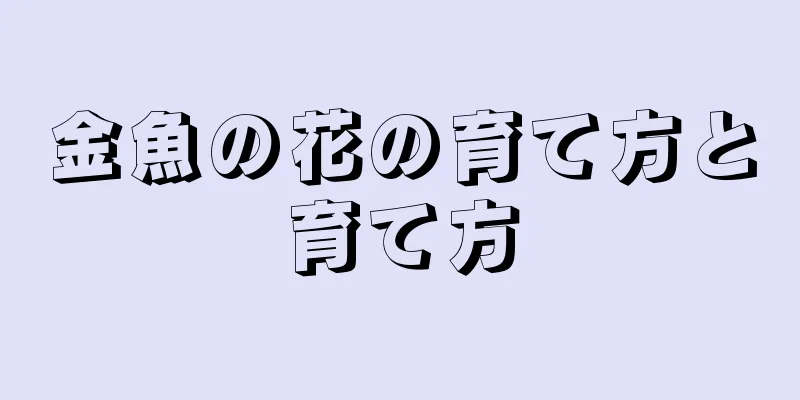 金魚の花の育て方と育て方