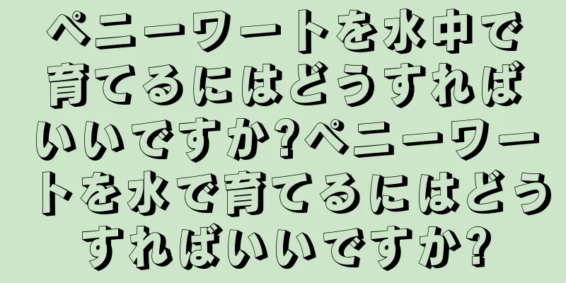 ペニーワートを水中で育てるにはどうすればいいですか?ペニーワートを水で育てるにはどうすればいいですか?