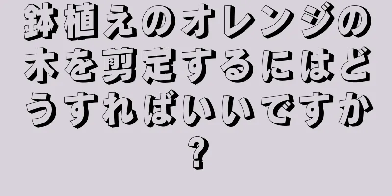鉢植えのオレンジの木を剪定するにはどうすればいいですか?