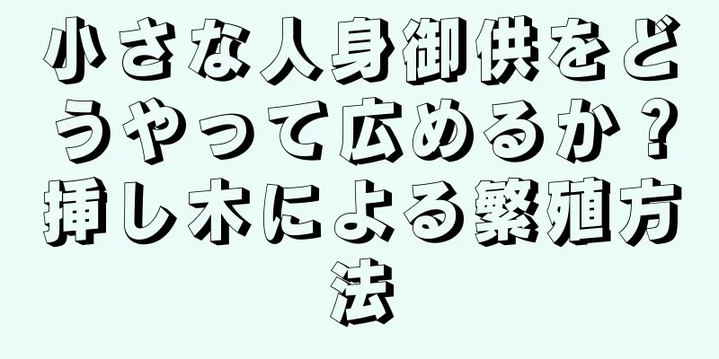 小さな人身御供をどうやって広めるか？挿し木による繁殖方法