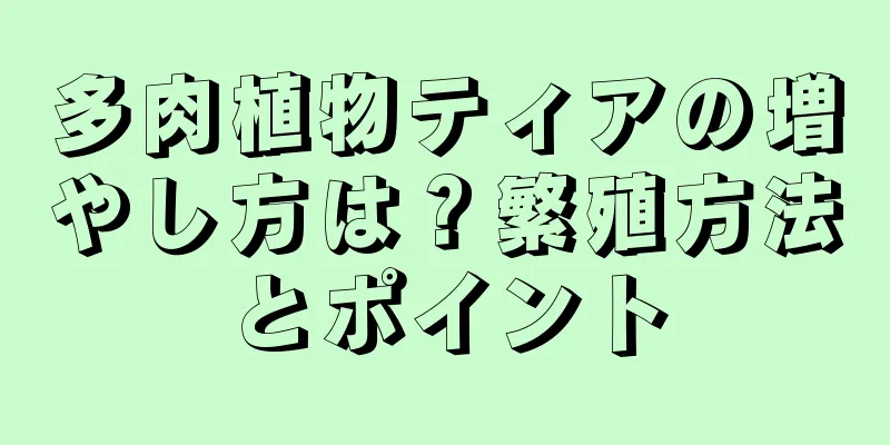 多肉植物ティアの増やし方は？繁殖方法とポイント