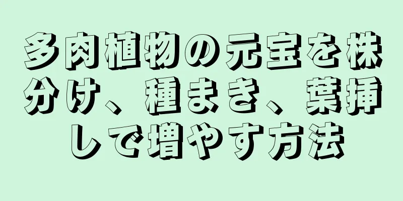 多肉植物の元宝を株分け、種まき、葉挿しで増やす方法