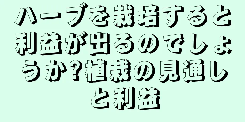 ハーブを栽培すると利益が出るのでしょうか?植栽の見通しと利益