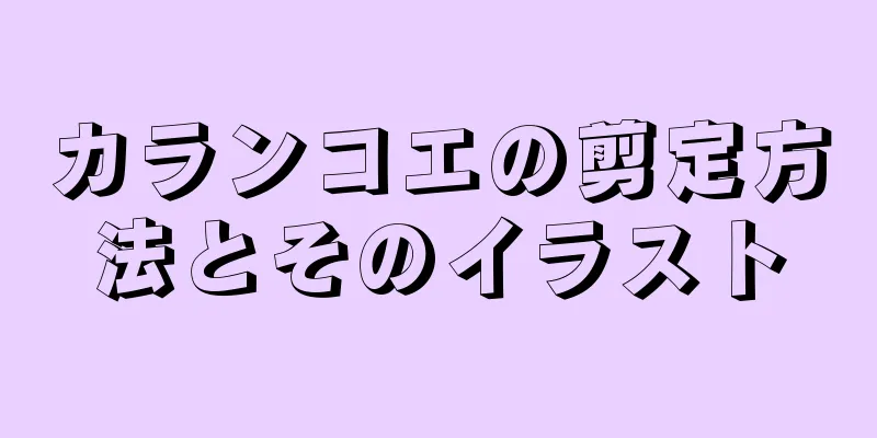 カランコエの剪定方法とそのイラスト