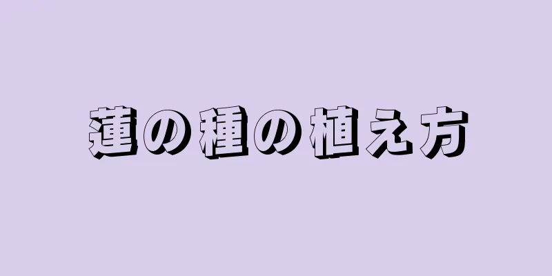 蓮の種の植え方