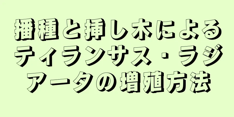 播種と挿し木によるティランサス・ラジアータの増殖方法
