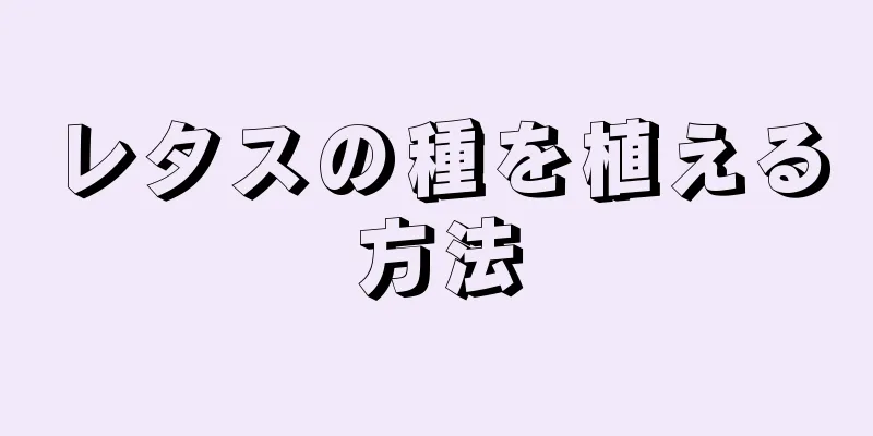 レタスの種を植える方法