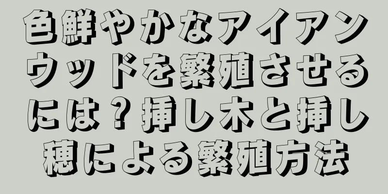 色鮮やかなアイアンウッドを繁殖させるには？挿し木と挿し穂による繁殖方法