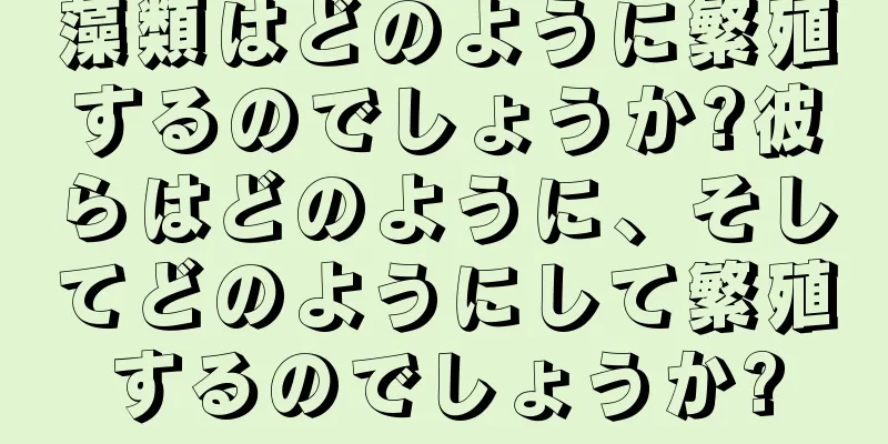 藻類はどのように繁殖するのでしょうか?彼らはどのように、そしてどのようにして繁殖するのでしょうか?