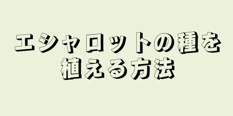 エシャロットの種を植える方法