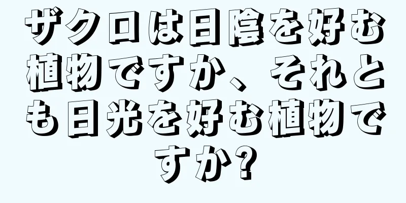 ザクロは日陰を好む植物ですか、それとも日光を好む植物ですか?