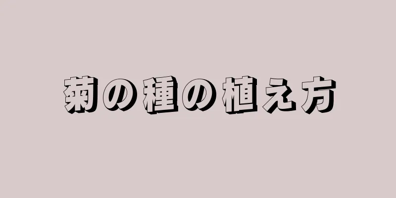 菊の種の植え方