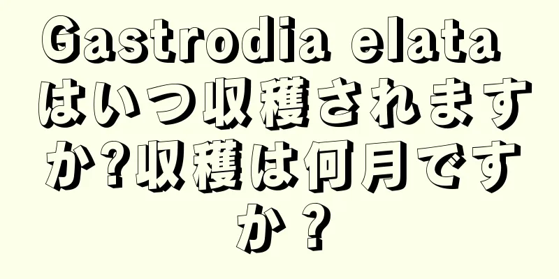 Gastrodia elata はいつ収穫されますか?収穫は何月ですか？