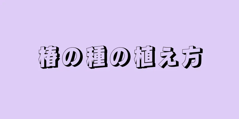 椿の種の植え方