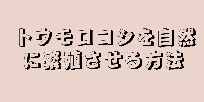 トウモロコシを自然に繁殖させる方法