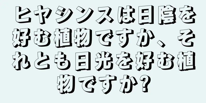 ヒヤシンスは日陰を好む植物ですか、それとも日光を好む植物ですか?