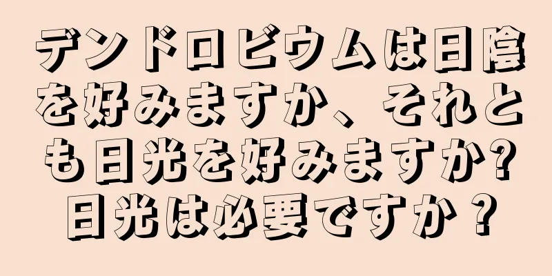 デンドロビウムは日陰を好みますか、それとも日光を好みますか?日光は必要ですか？