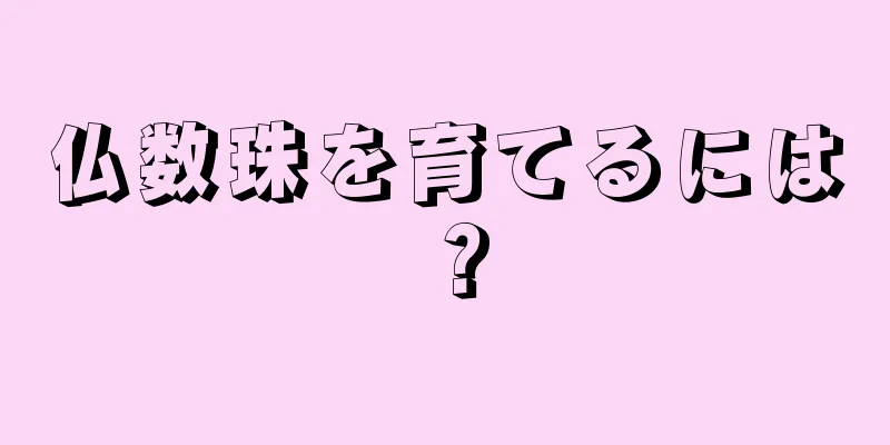 仏数珠を育てるには？