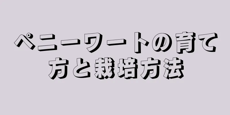 ペニーワートの育て方と栽培方法