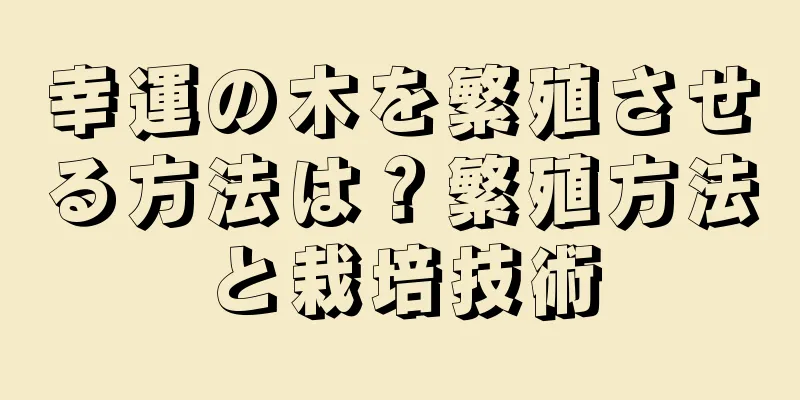 幸運の木を繁殖させる方法は？繁殖方法と栽培技術
