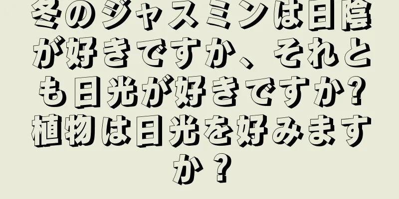 冬のジャスミンは日陰が好きですか、それとも日光が好きですか?植物は日光を好みますか？